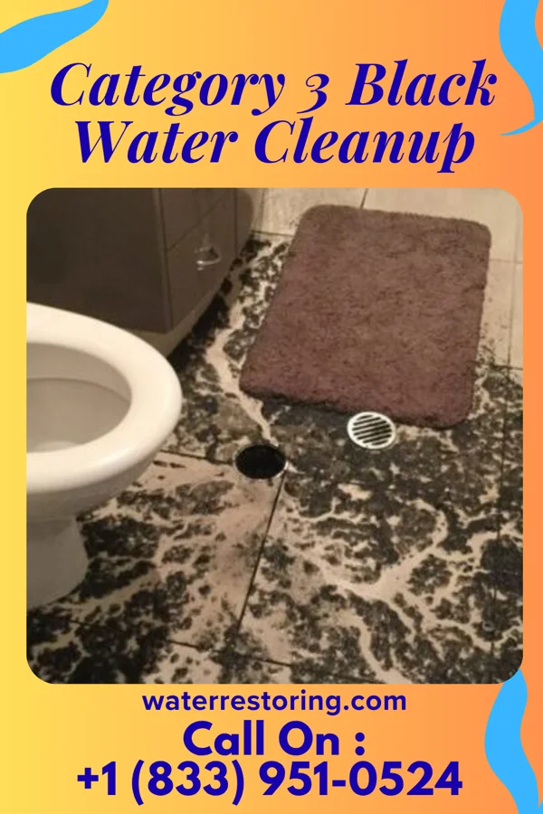 Category 3 Black Water Cleanup in Marquette, IA